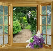 窗口期欧冠焦点战，达拉斯独行侠篮板制胜，球迷炸锅，更衣室氛围转暖(达拉斯比赛最新消息)